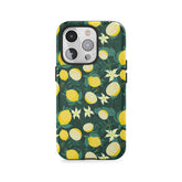 Zitronengarten in der Dämmerung